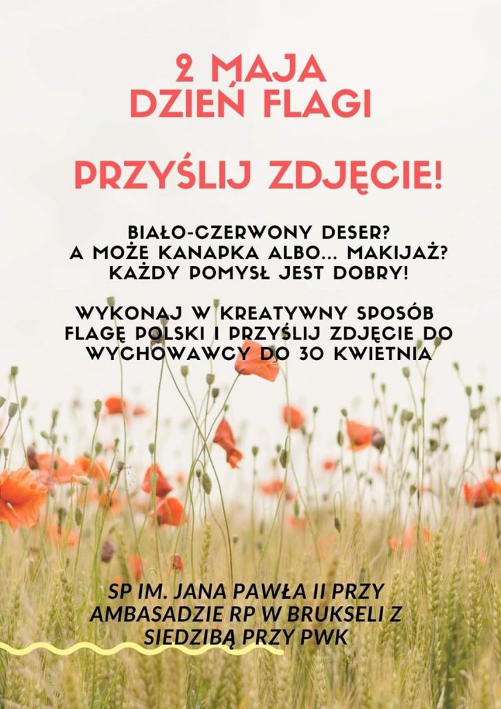 PROPOZYCJA NA DZIEŃ FLAGI